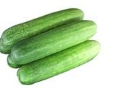 Organic Cucumber